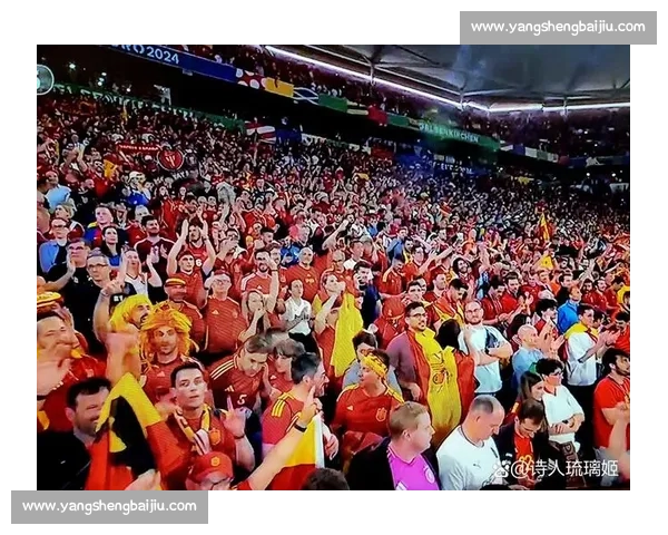 球迷的眼泪，球星的汗水，欧洲杯上演悲欢离合！