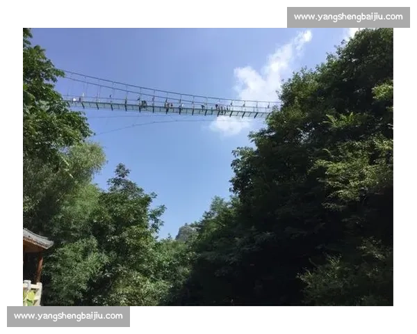 燃情之约！S赛总决赛赛程，这才是属于我们的夏天！