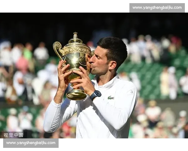 谁能阻挡德约科维奇温网冠军预测，答案即将揭晓！