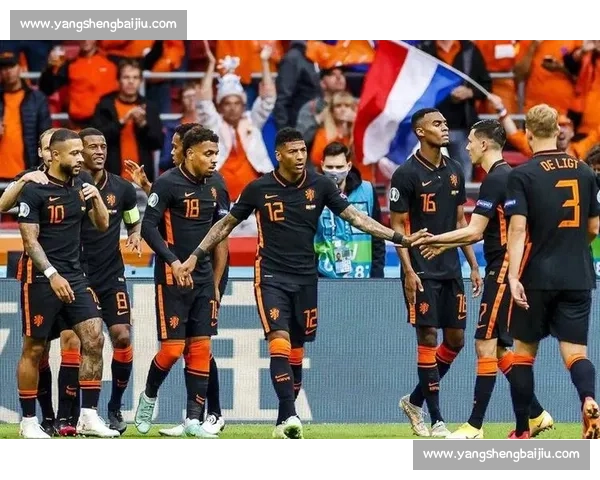 橙色风暴来袭！荷兰队超强阵容，能否搅翻欧洲杯